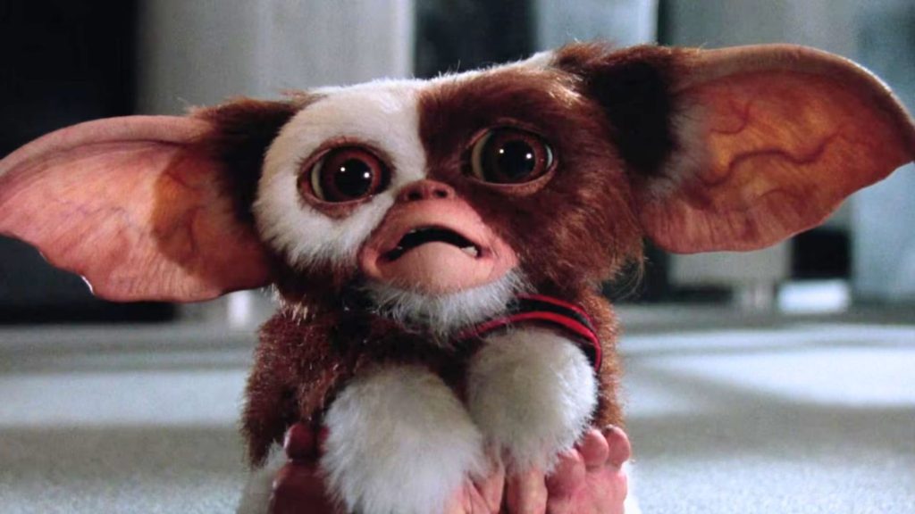 Le scénariste des Gremlins révèle que Gizmo devait initialement devenir un monstre avec un nombre de victimes accru.